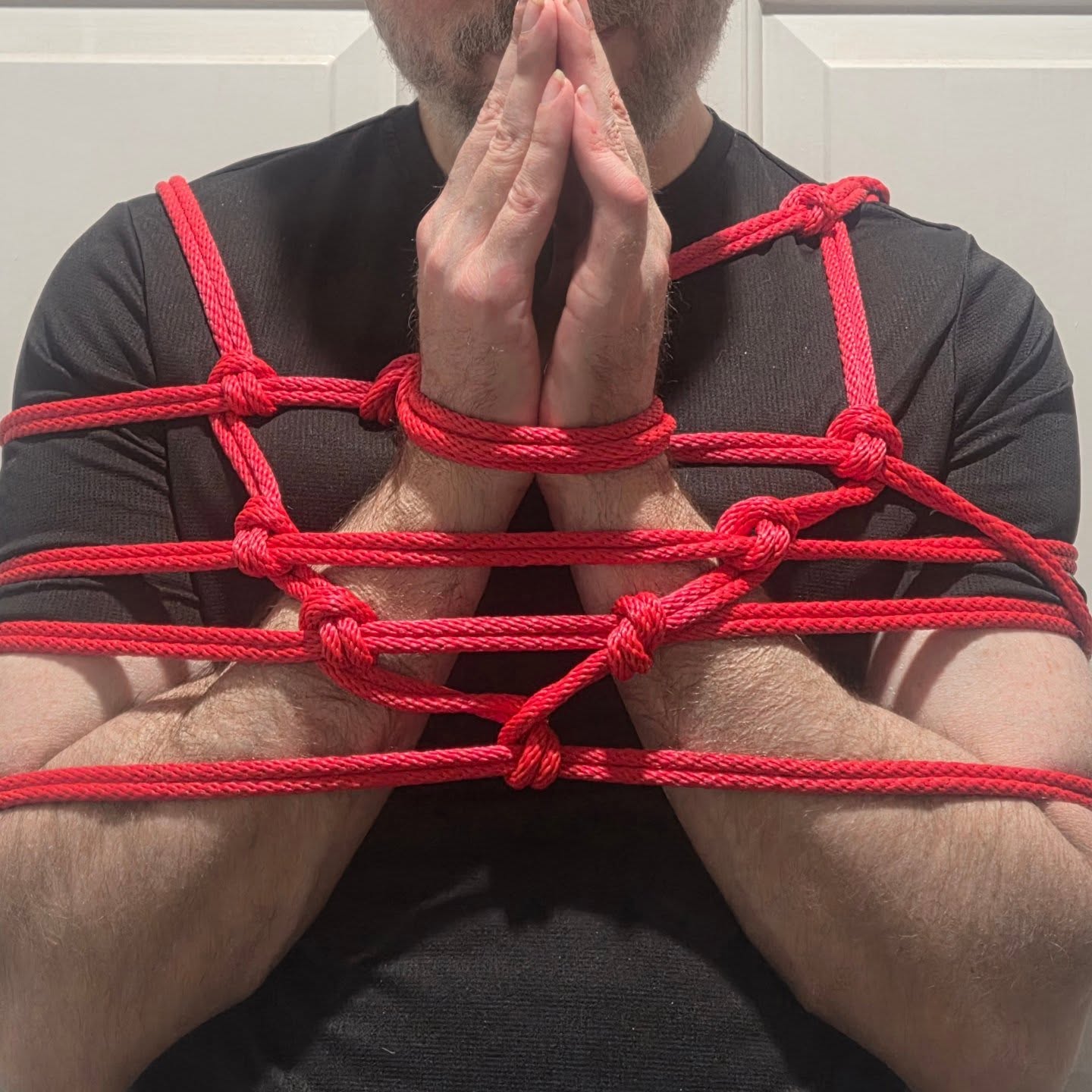 Shibari rope art 5